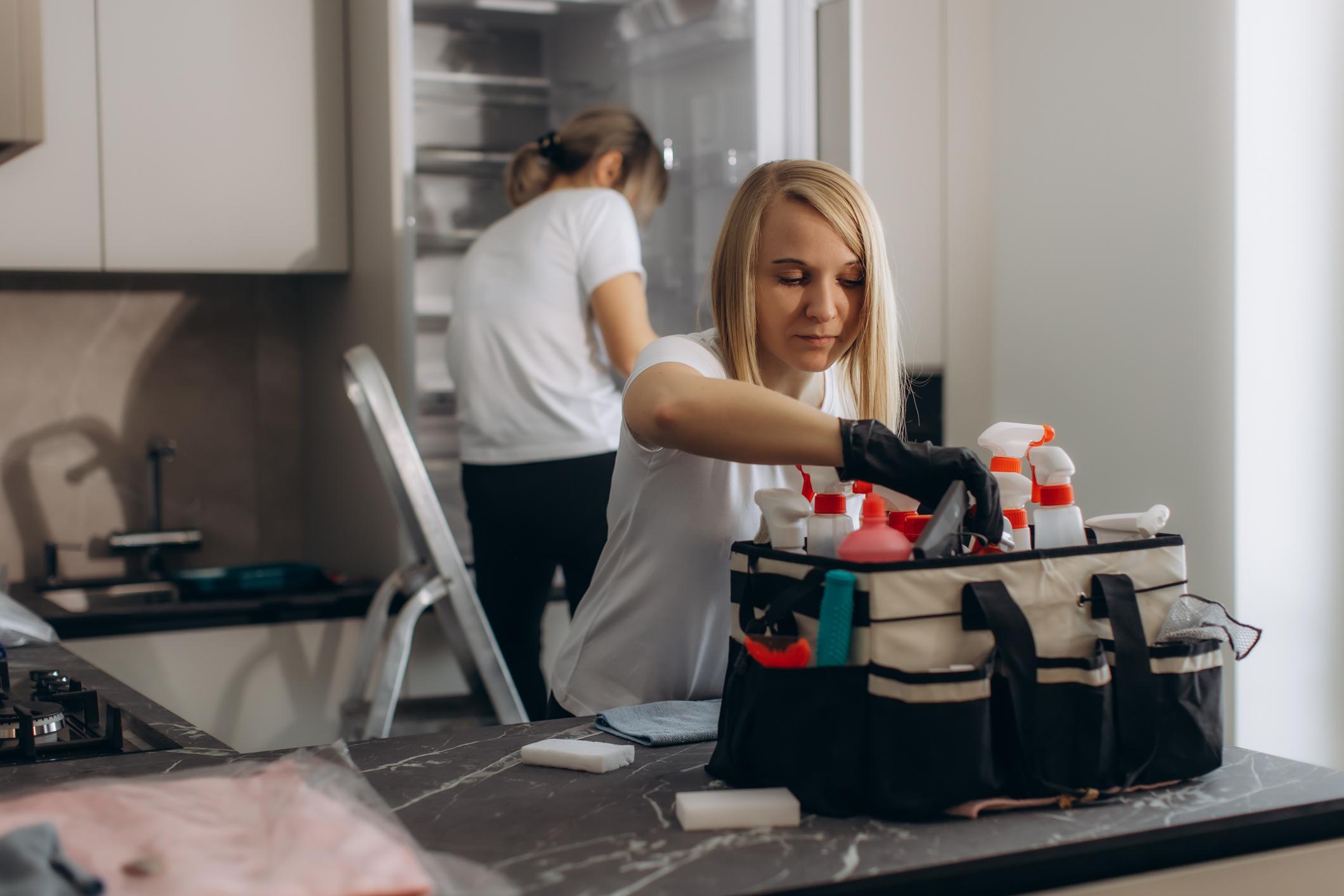 Residential Cleaning (Regular Cleaning)